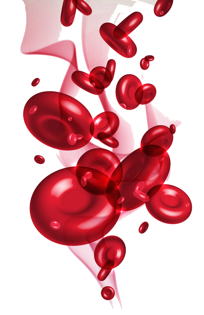 Red-Blood-Cells